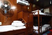 gallery/7.jpg